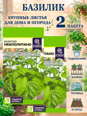 Базилик Неаполитано семена крупнолистный, зелень для песто