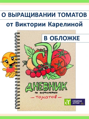 Книжная продукция и диски